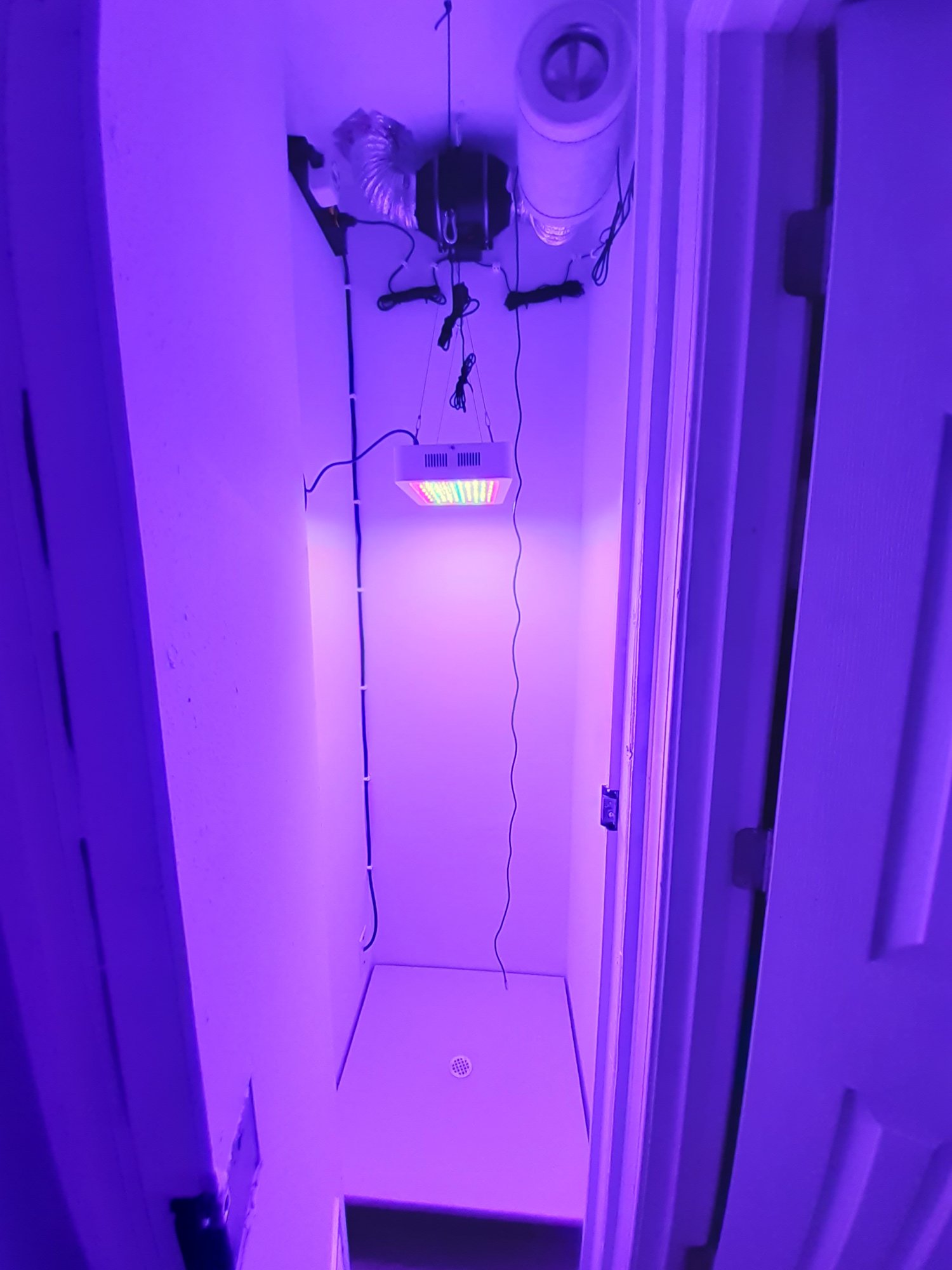 First indoor grow light help plz