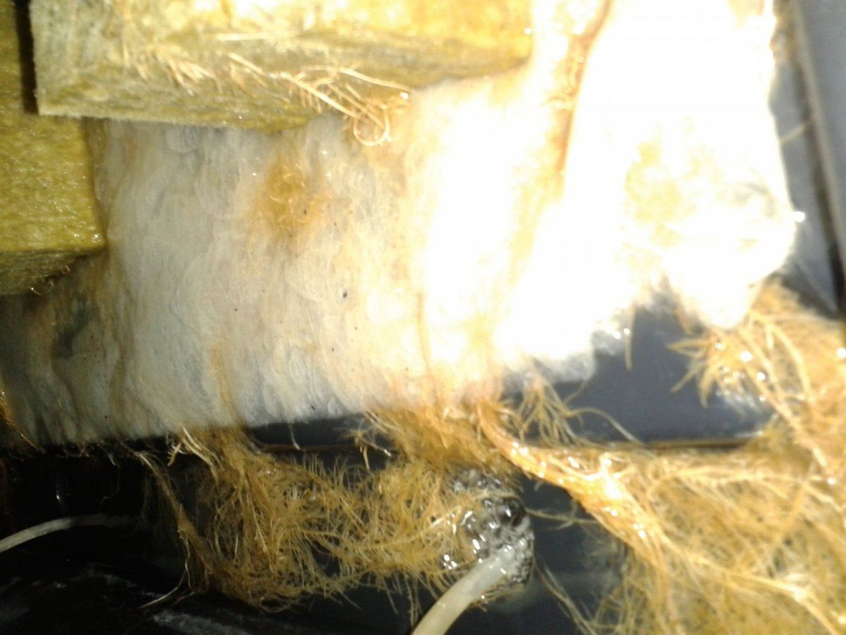 First nft  pics please look 16