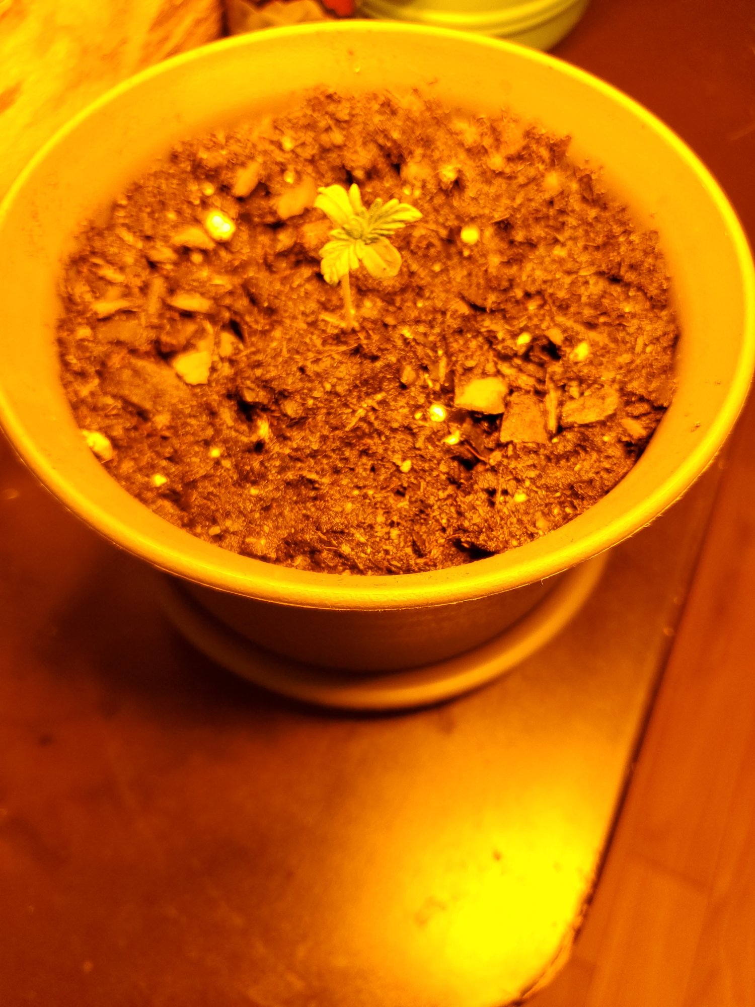 First setup here any advice 4