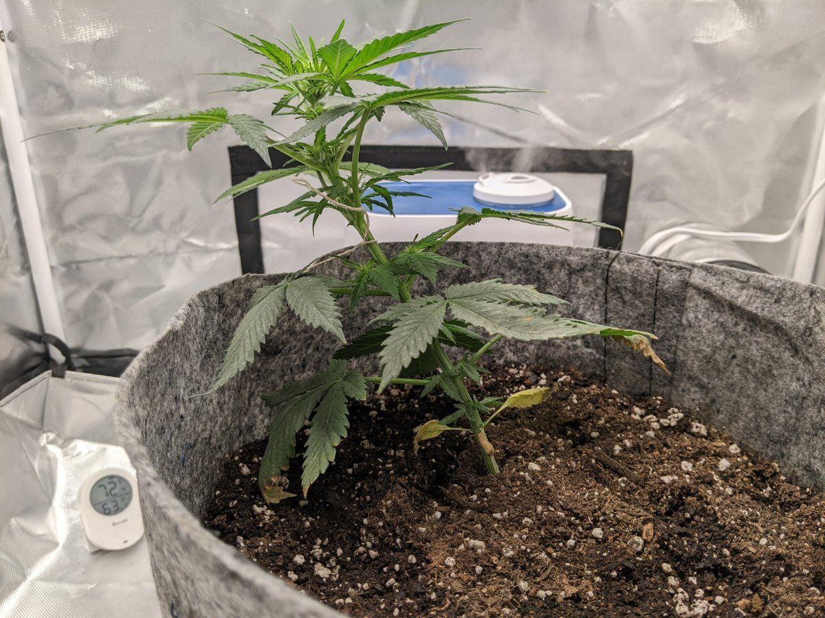 First time attempting lst want to make sure i am doing this right 6