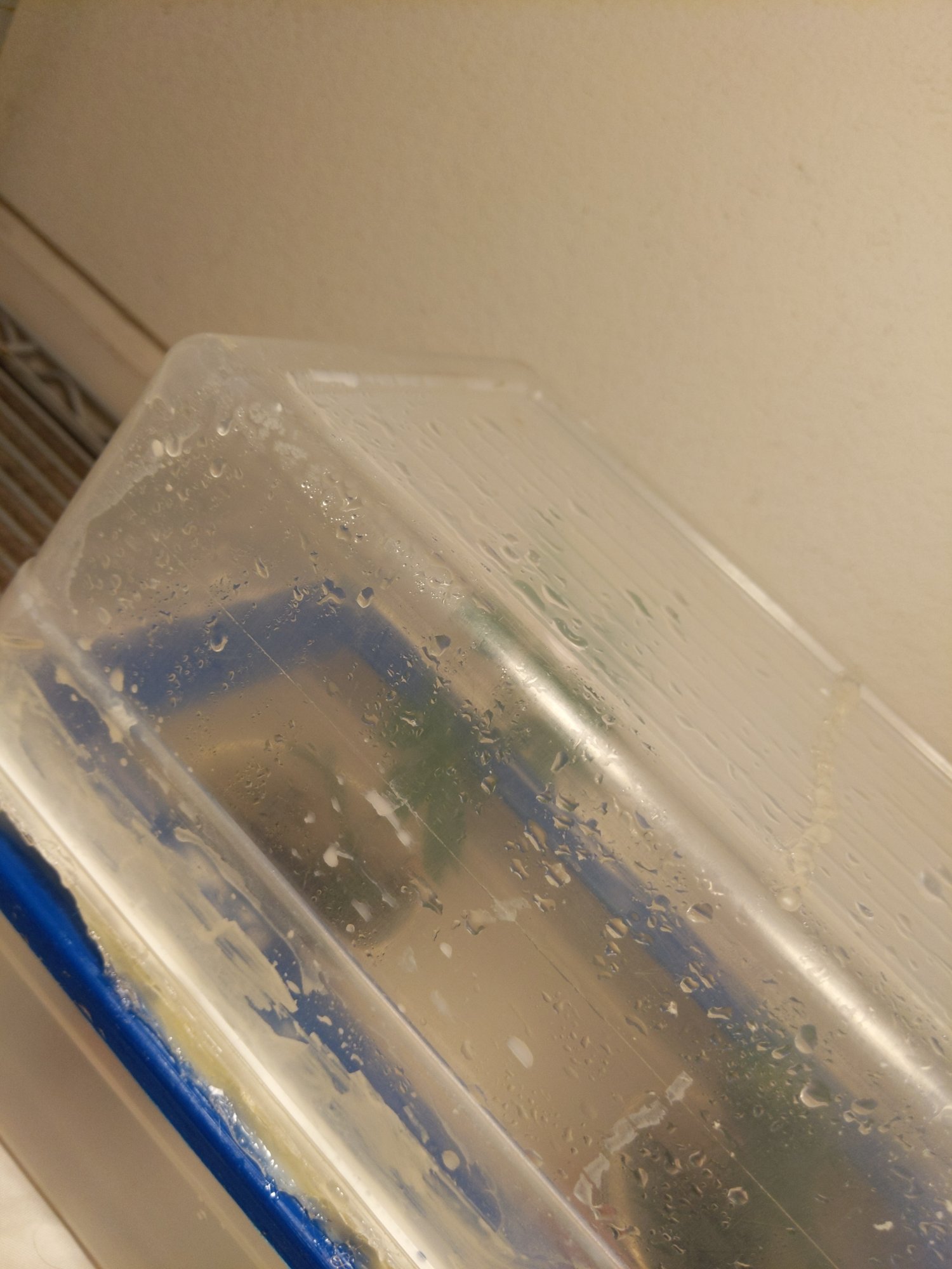 First time cloning