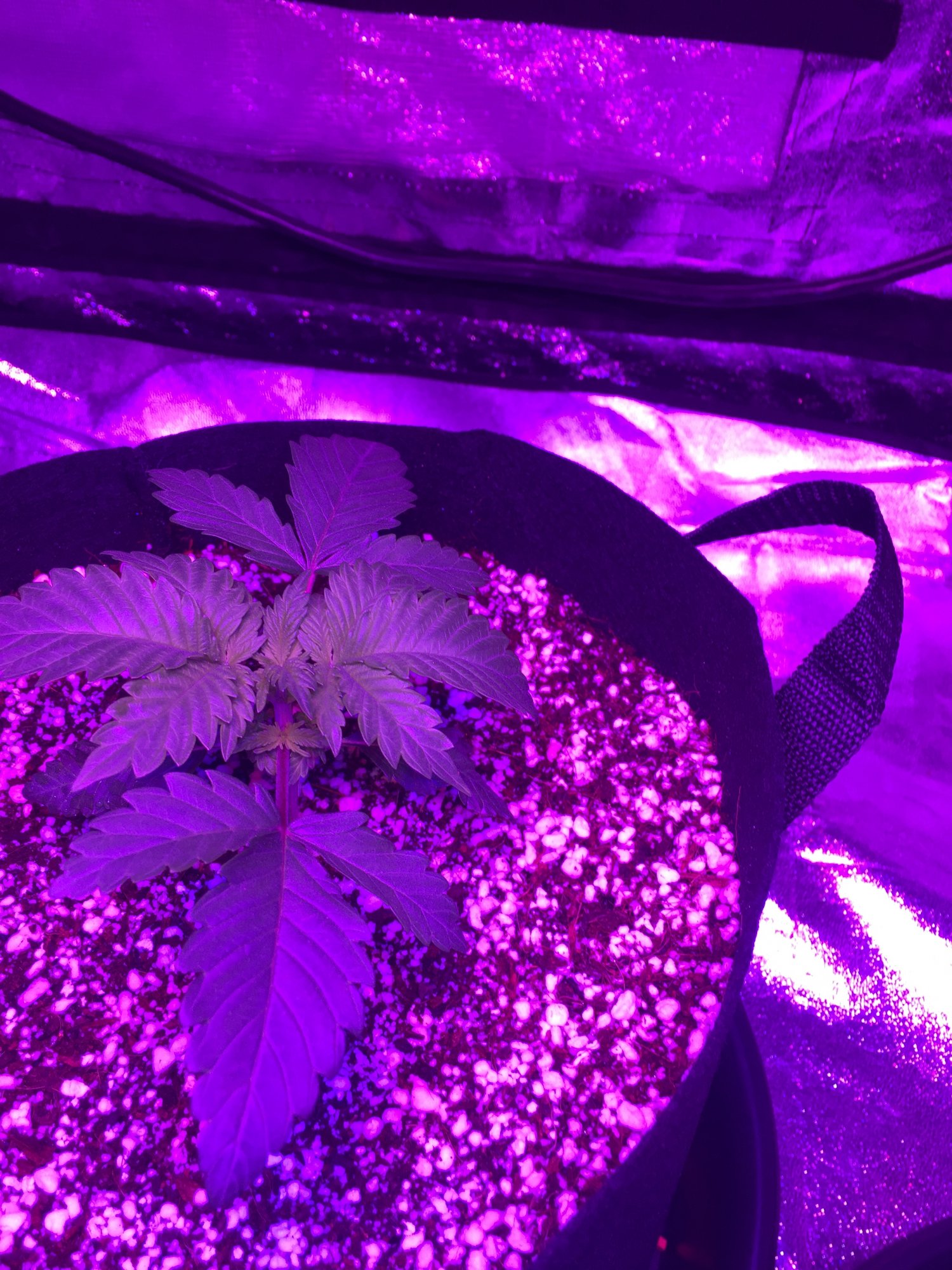 First time coco run please help 4
