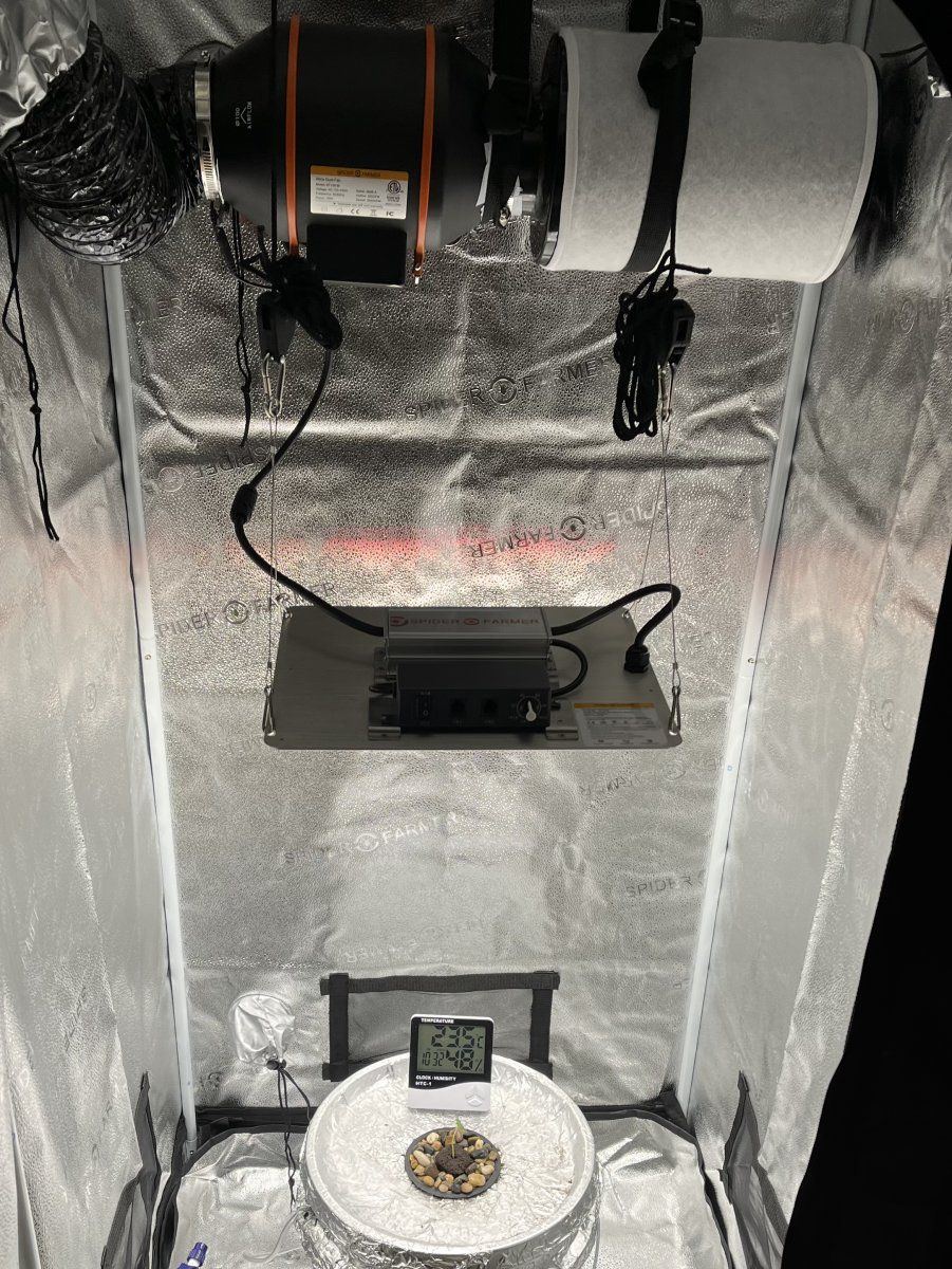 First time grow using dwc 2