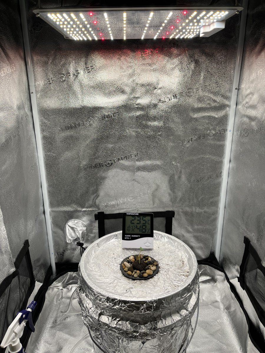 First time grow using dwc 3