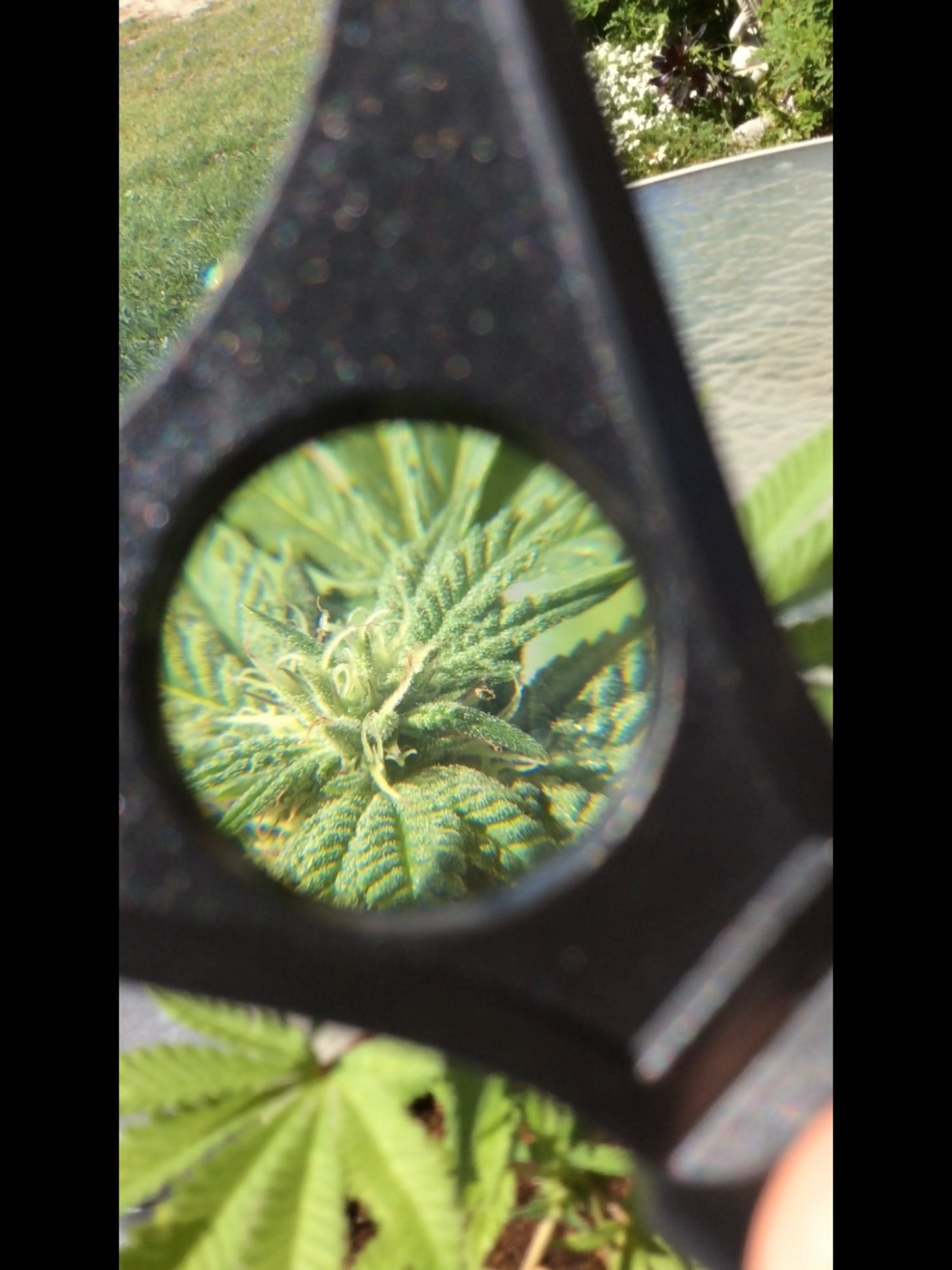 334E2FF5-E325-4AD3-B437-39C0435EC49B.png
