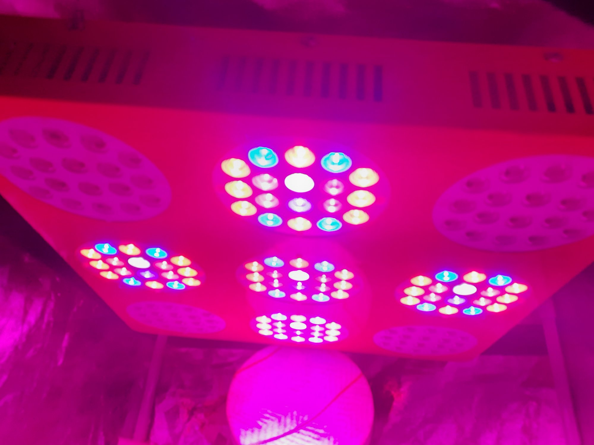 First time grower but unsure what lights i have 3