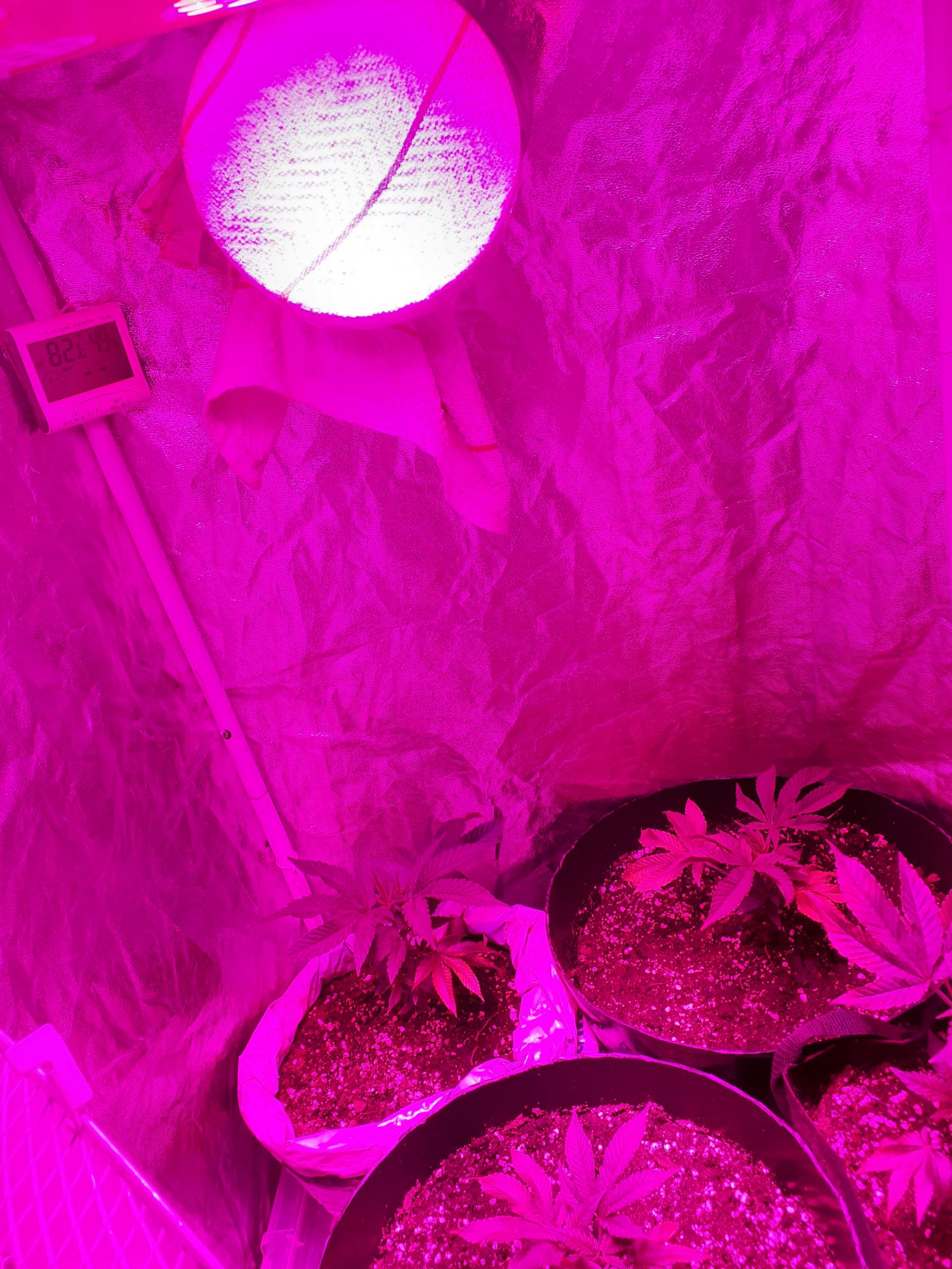 First time grower but unsure what lights i have
