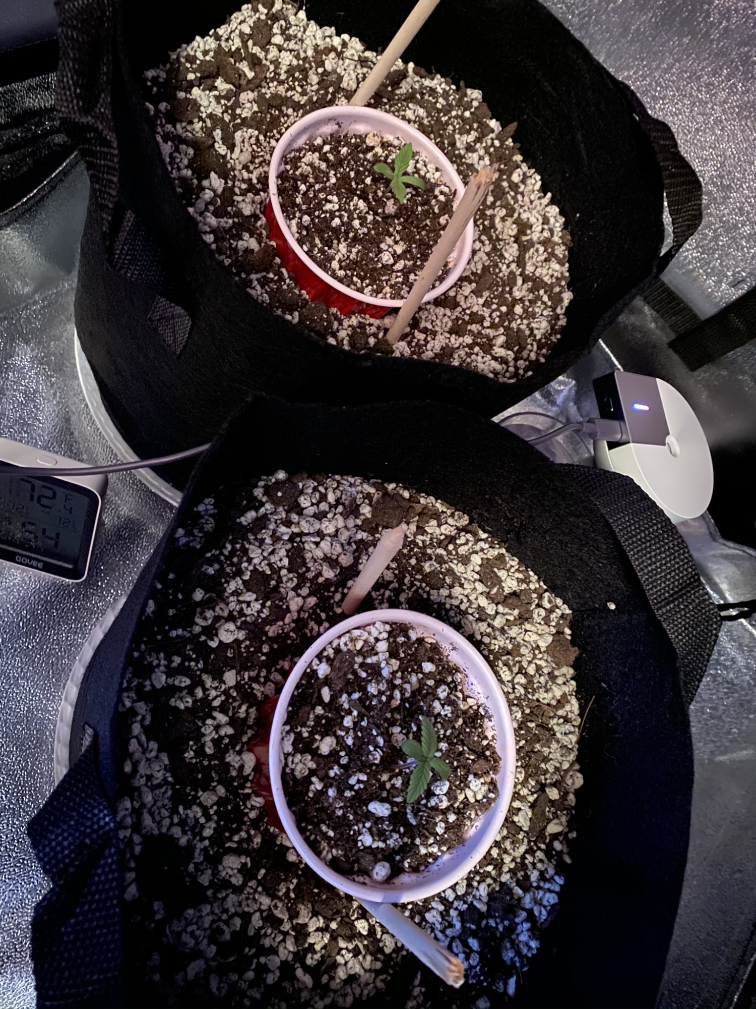 First time soil grower   grow journal 20
