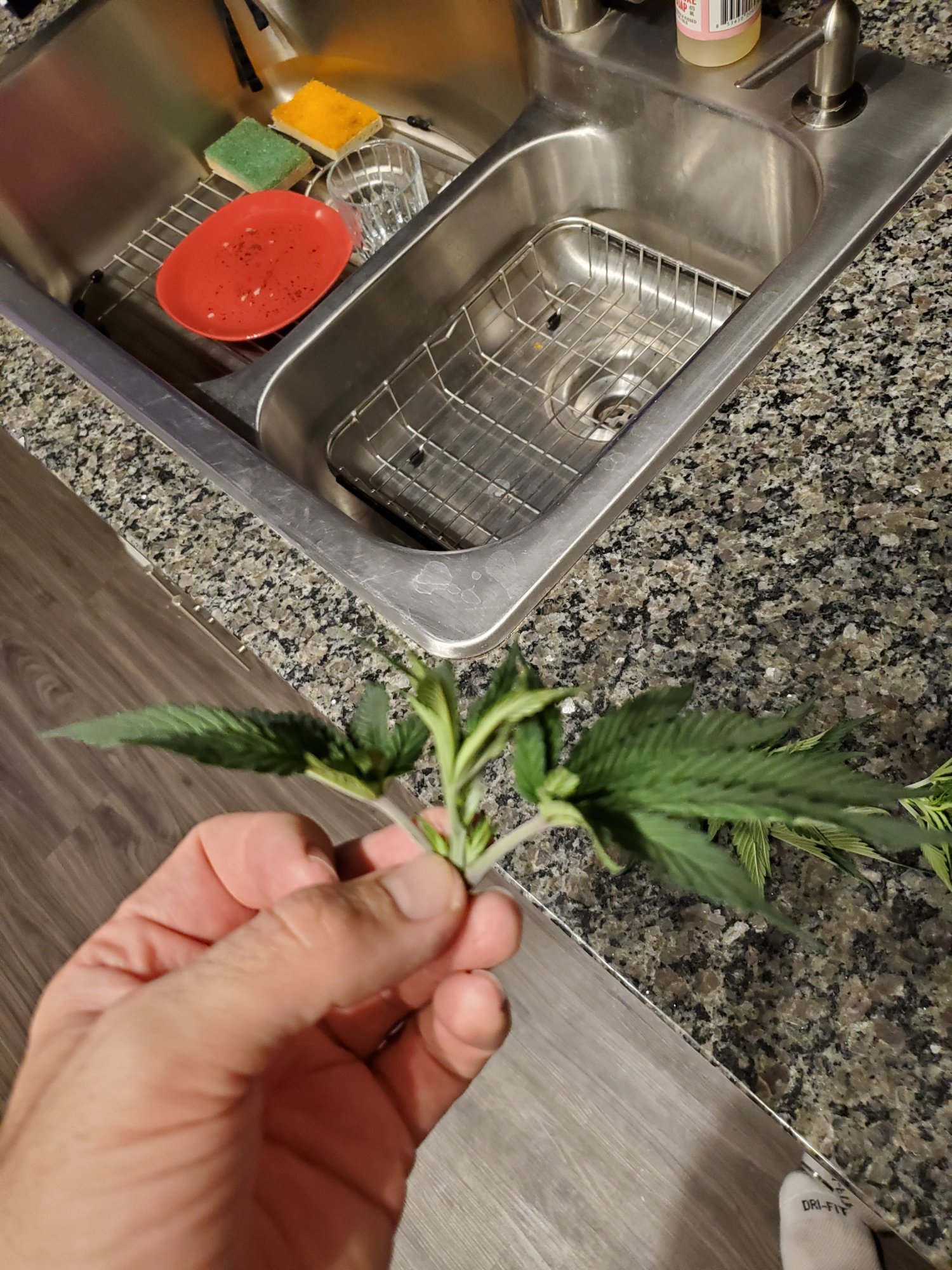 First time topping did i do ok 3