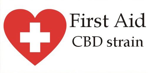 FirstAidsingle