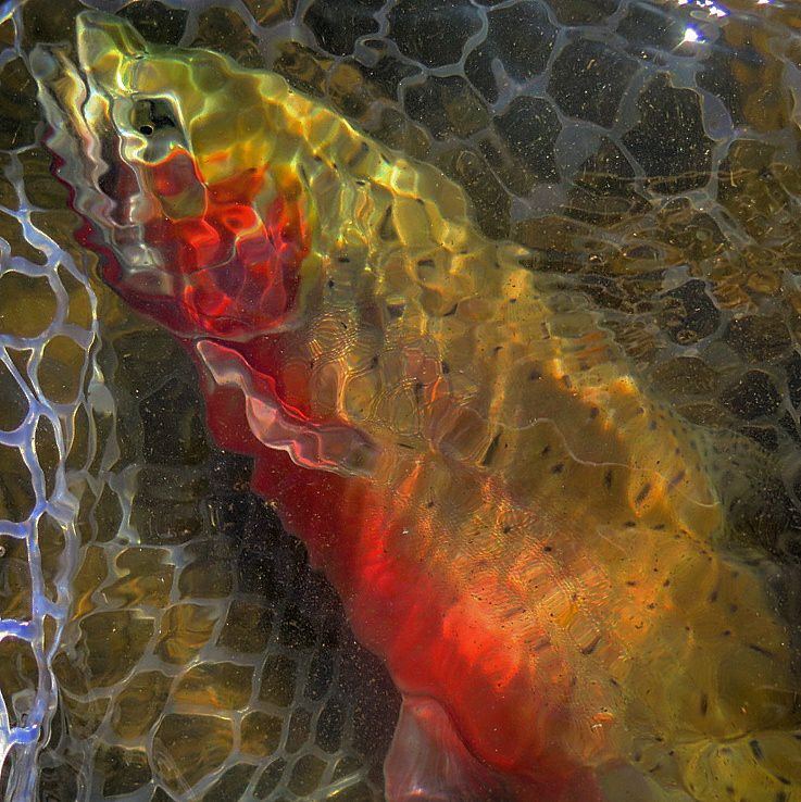 Fishing1