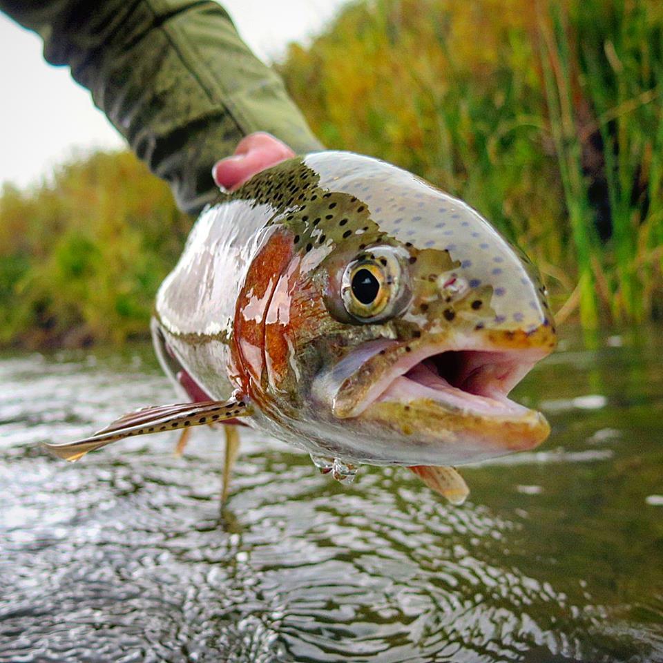 Fishing2