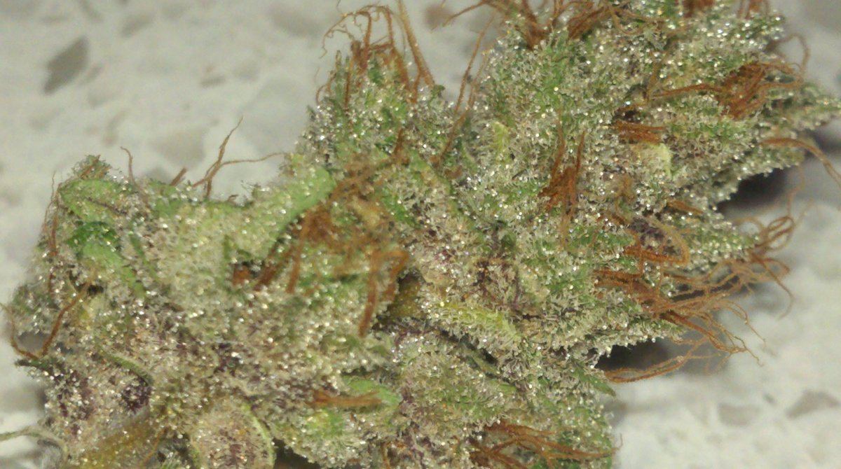 Fkharvestmacro