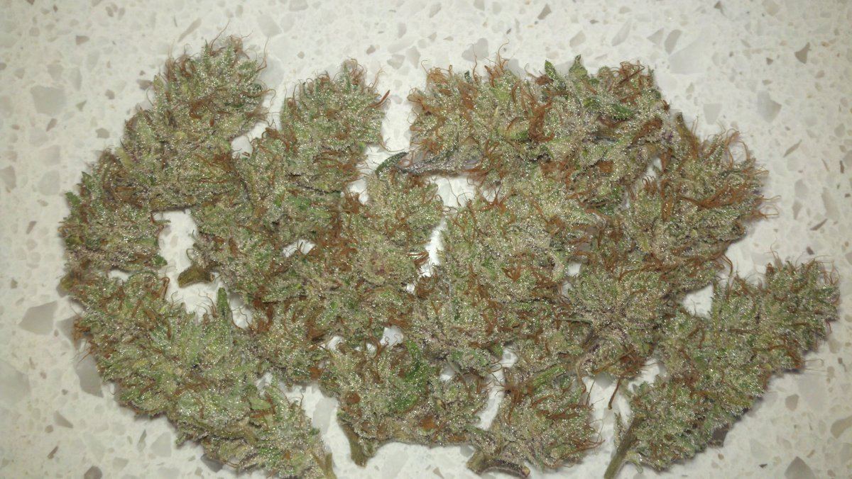 Fkharvest1