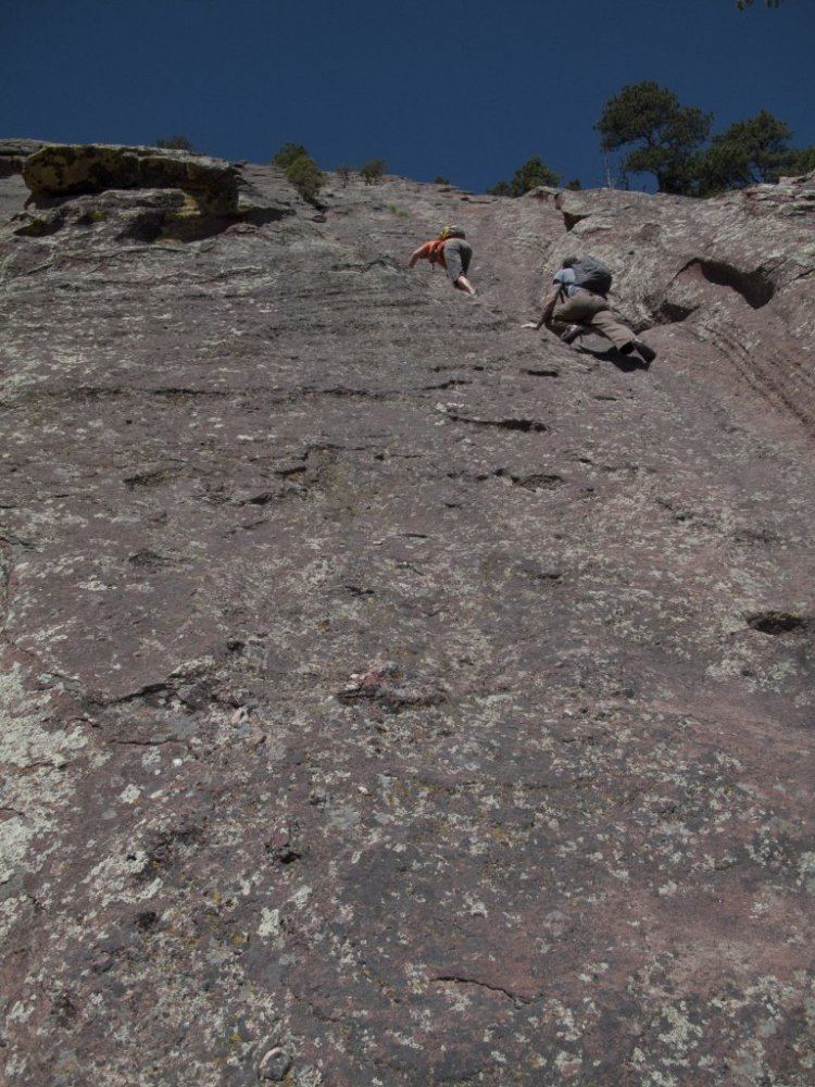 Flat irons solo 6 10 026