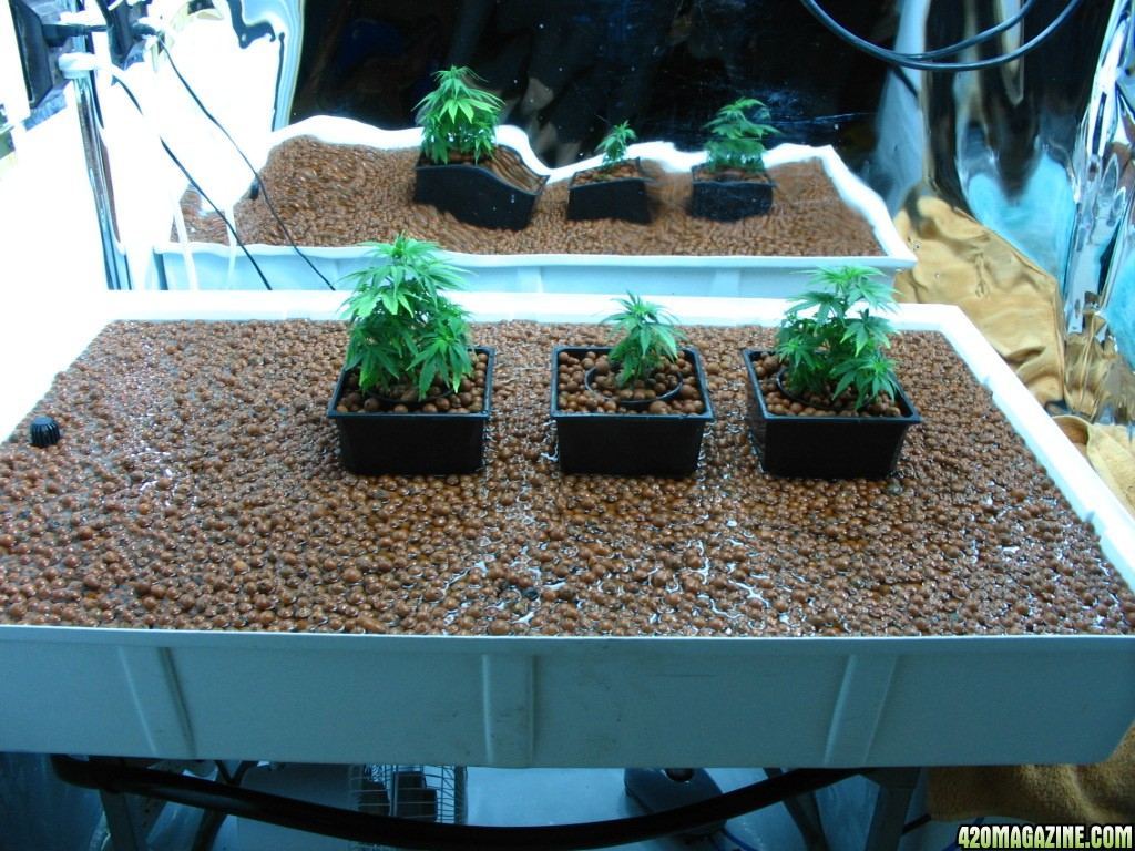 Flood table 006