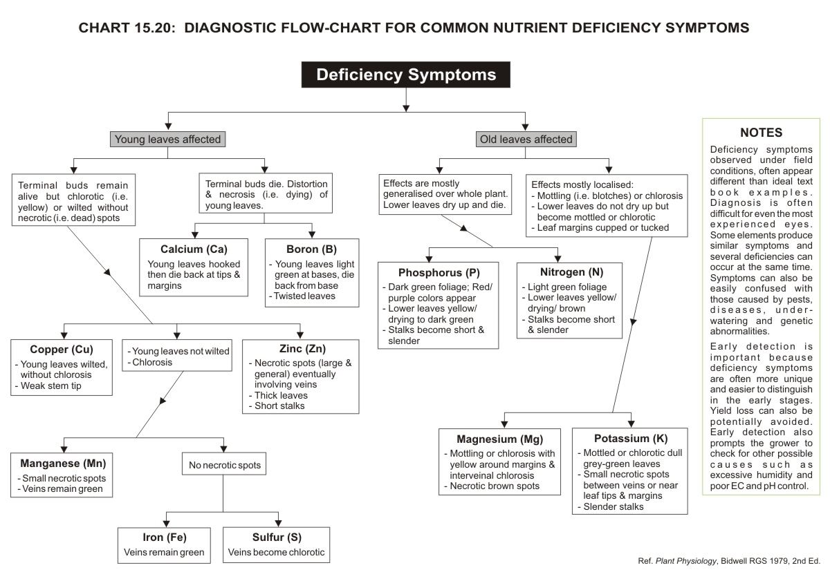 Flow chart for nutrient deficiency symptoms in hydroponics