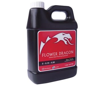 Flower dragon