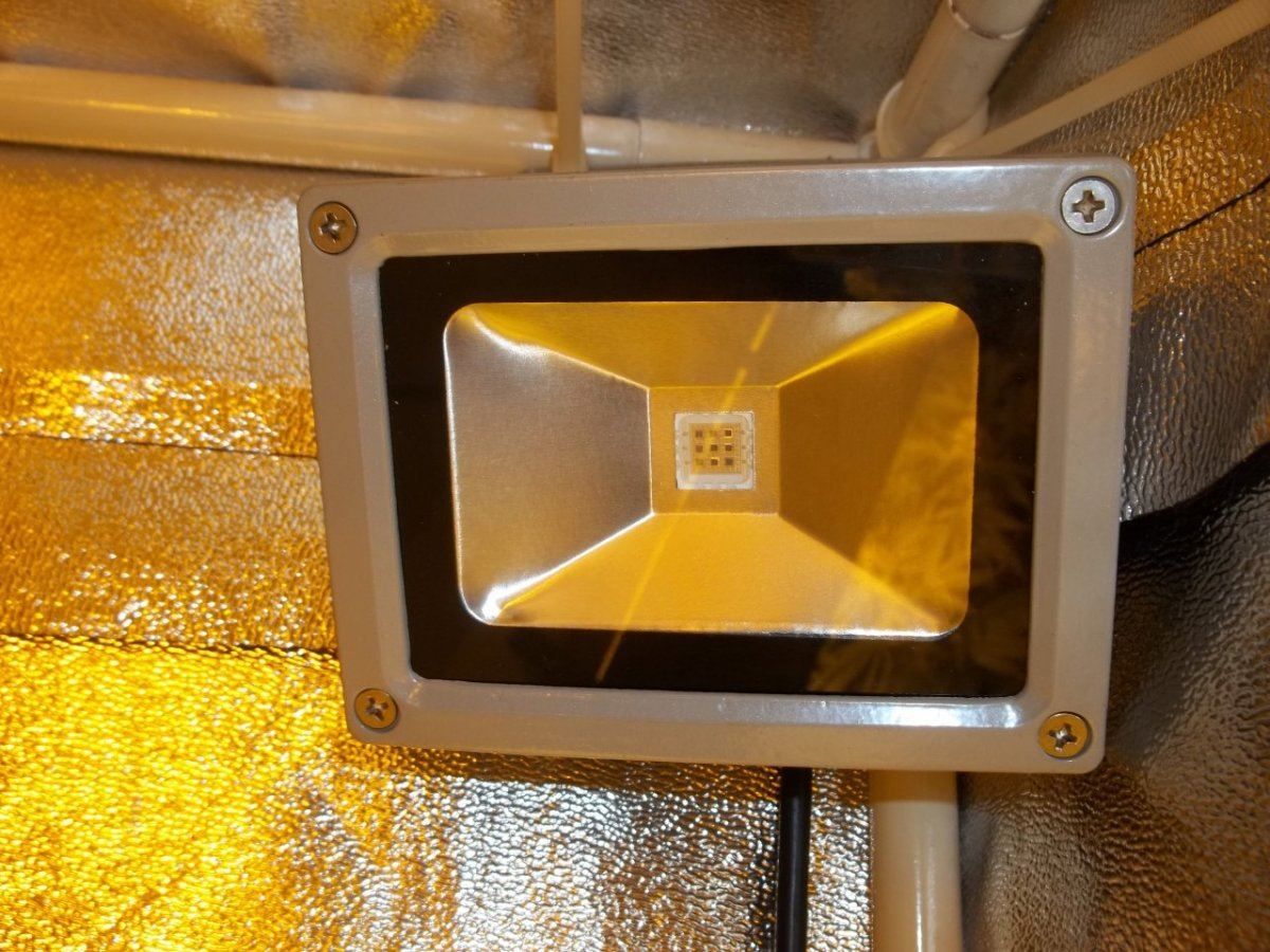 Flower Initiator LED FR