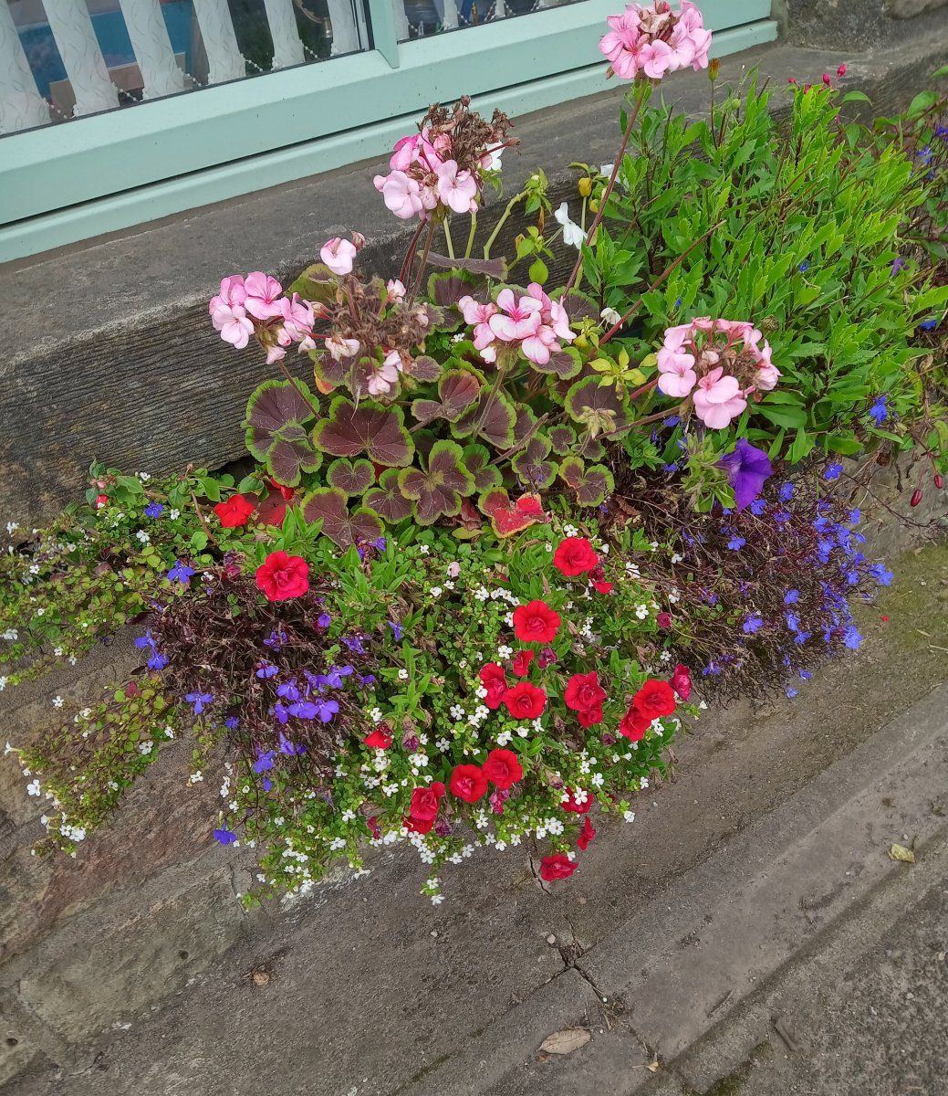 Flowers