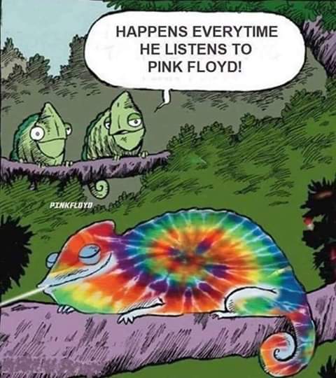 Floyd