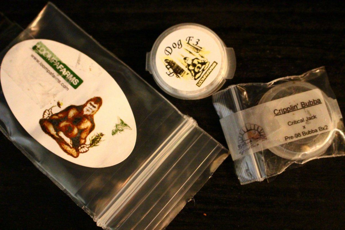 Foo dog and cripplin bubba grow