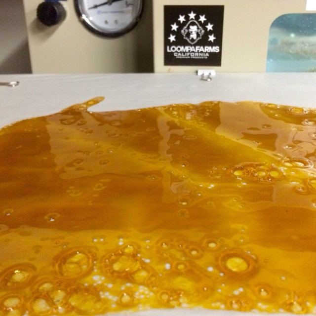 Foo dog shatter slick4 n