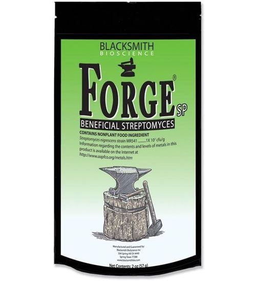 Forge sp
