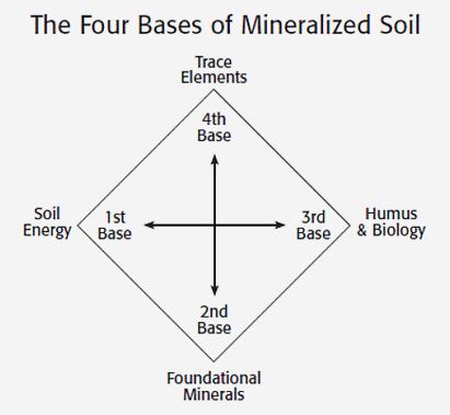 Four bases of soil mineralization