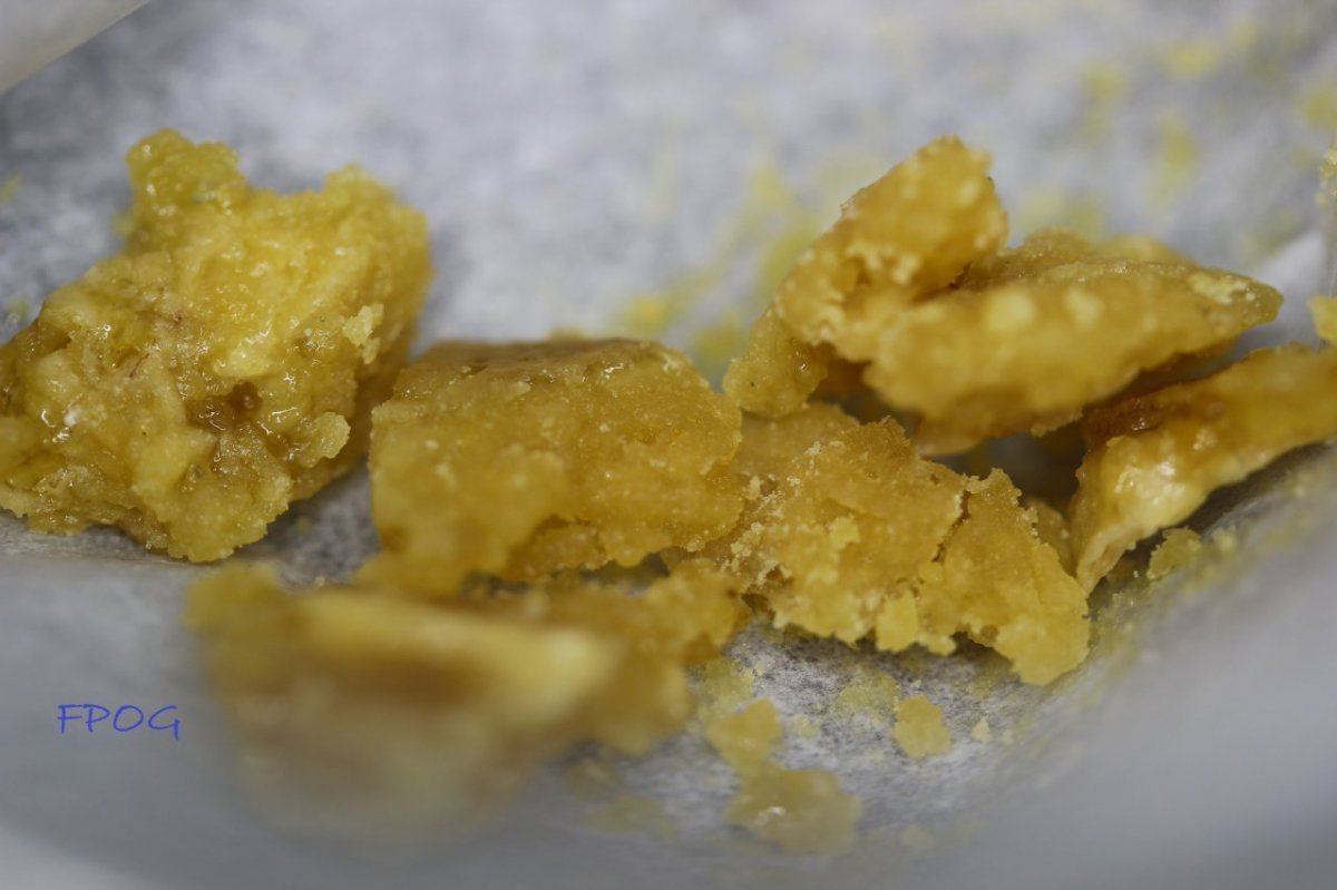 FPOG ear wax 1