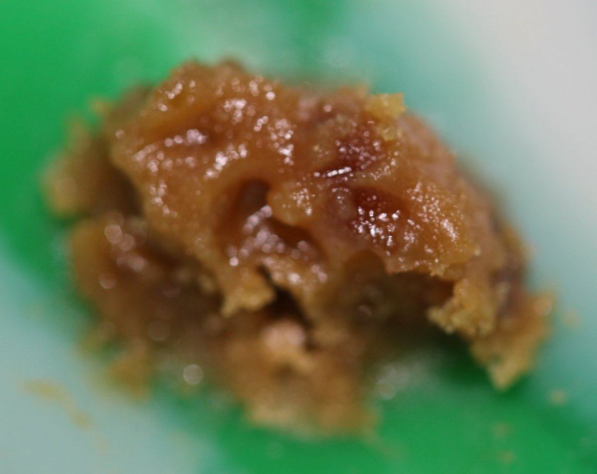 FPOG ear wax 3