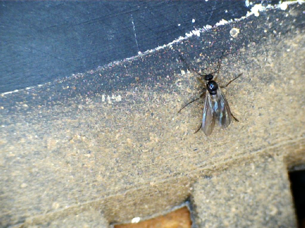 Frame5
