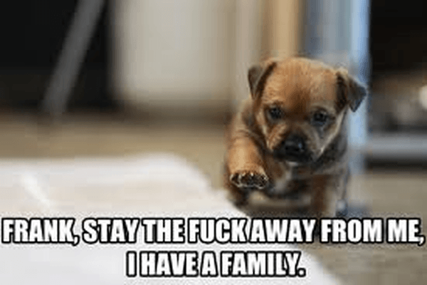 Frank stay away dog large