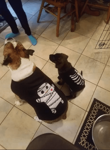 Fredandwilma10619