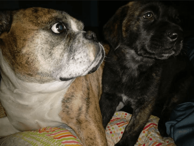 Fredandwilma92119