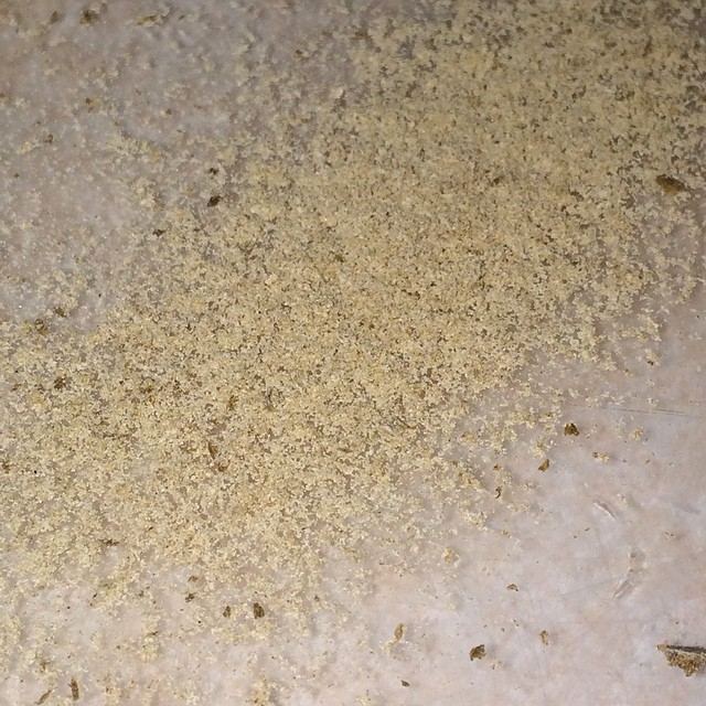 Freshplaned120iubatch3
