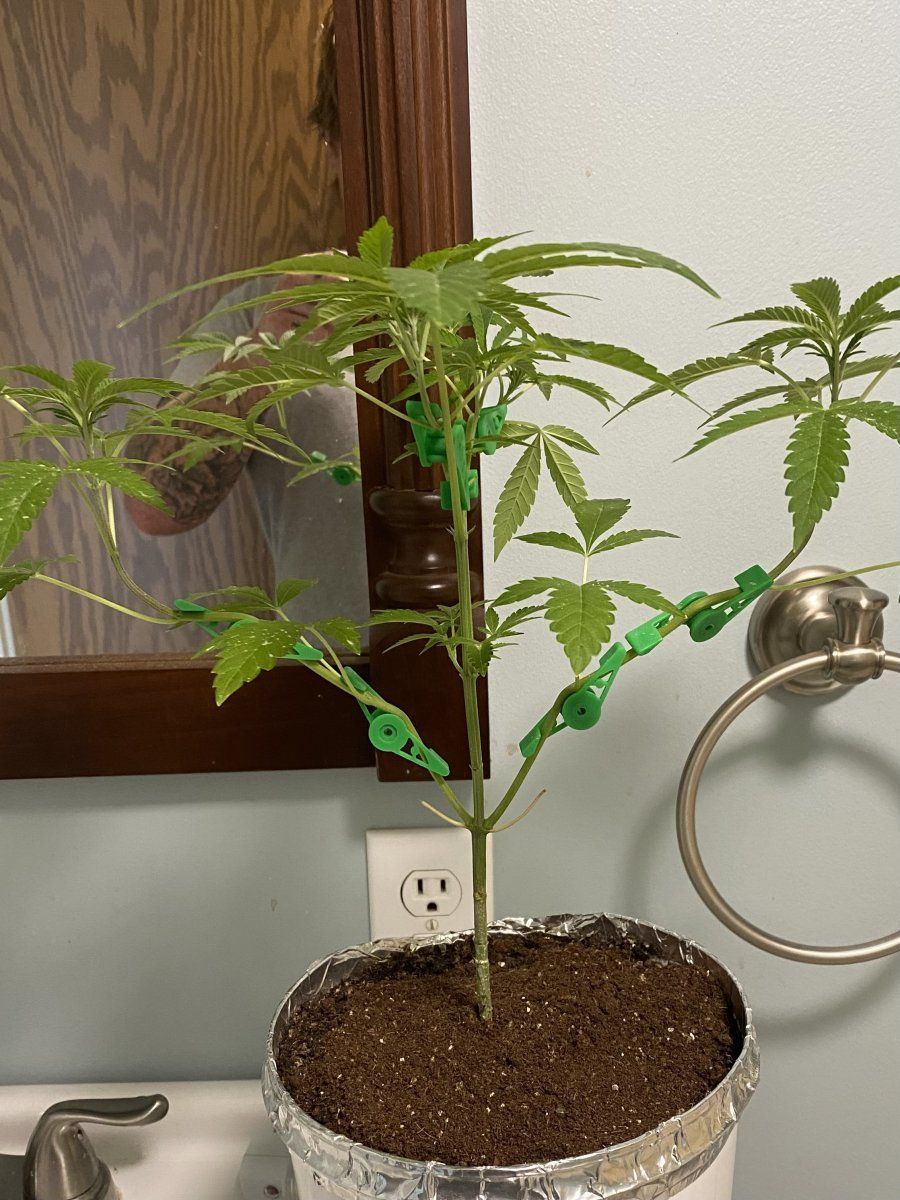 From friends at the farm 5