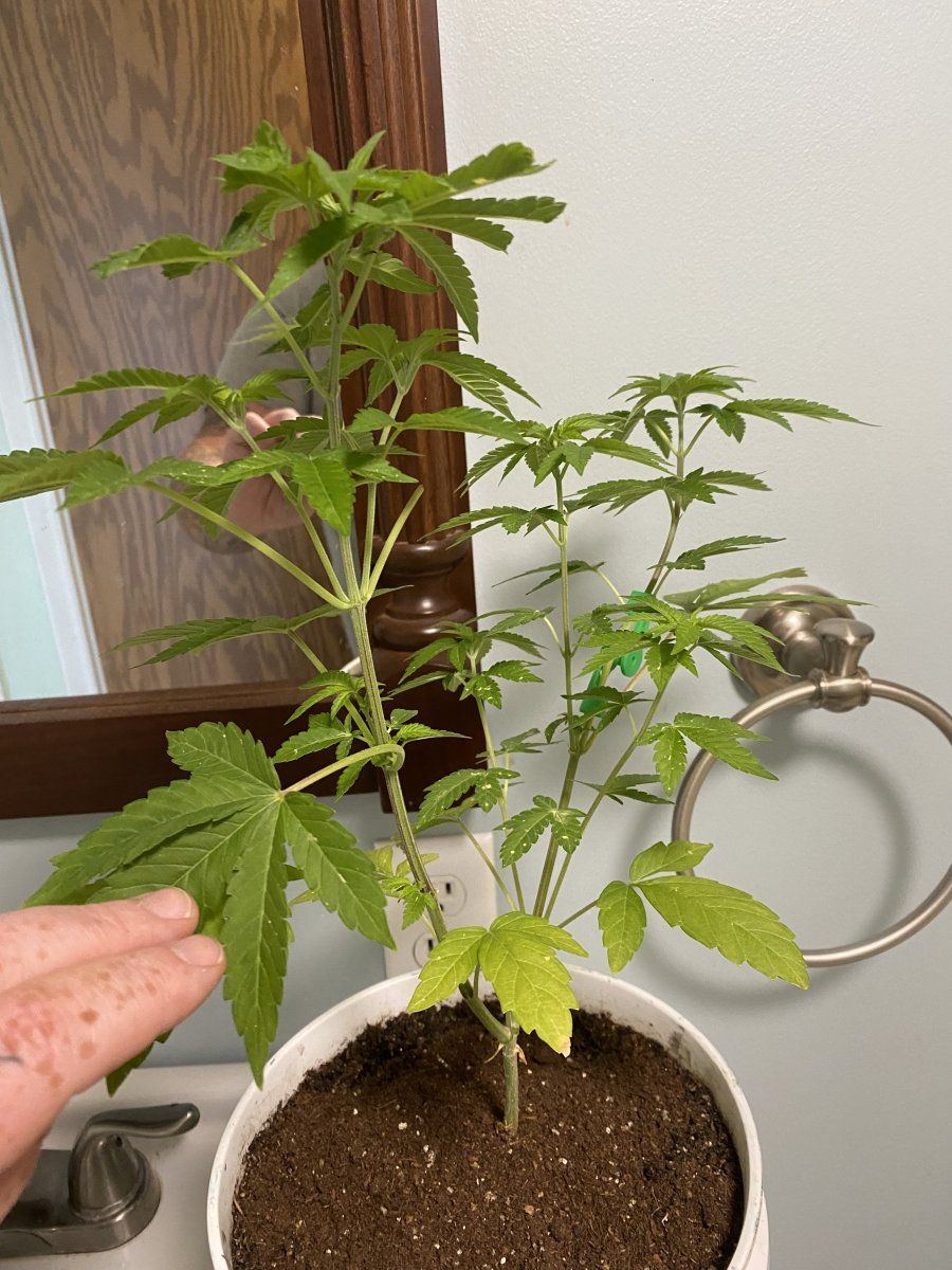 From friends at the farm 7