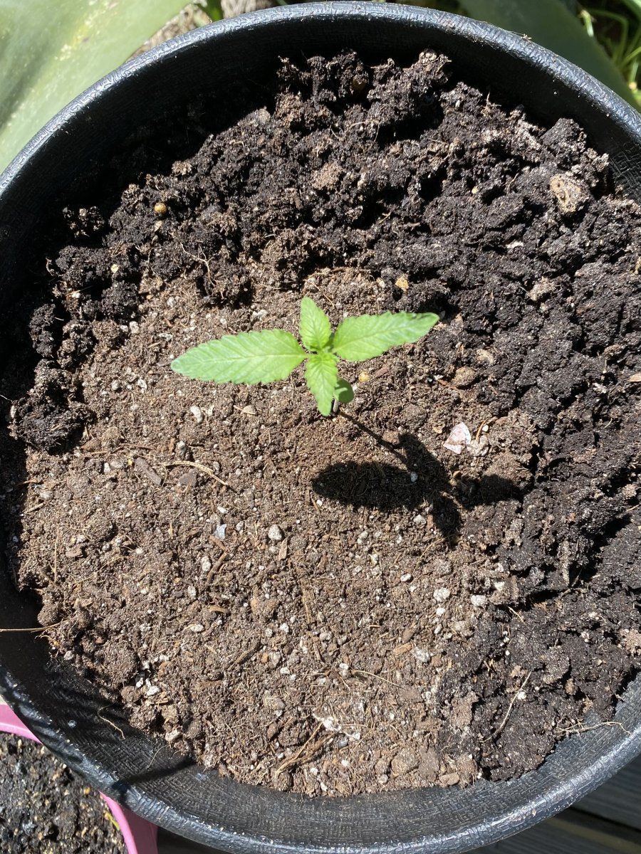From friends at the farm