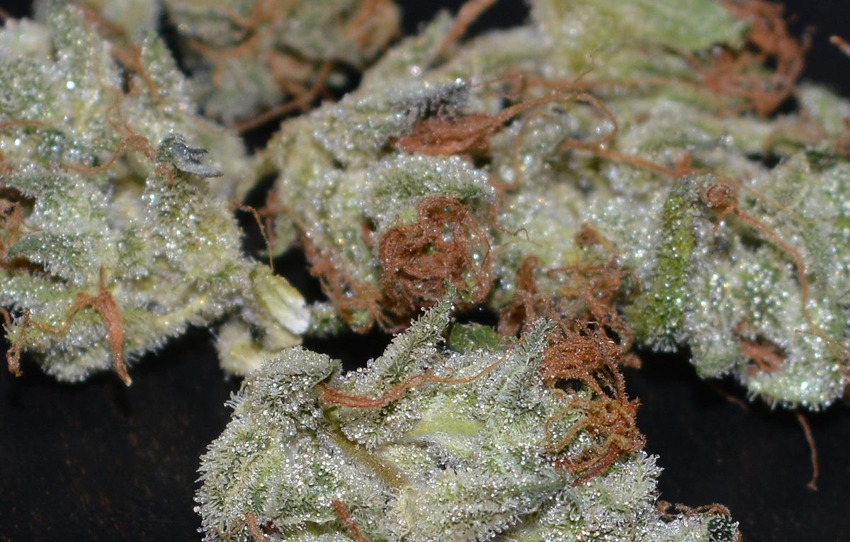 Frostdry