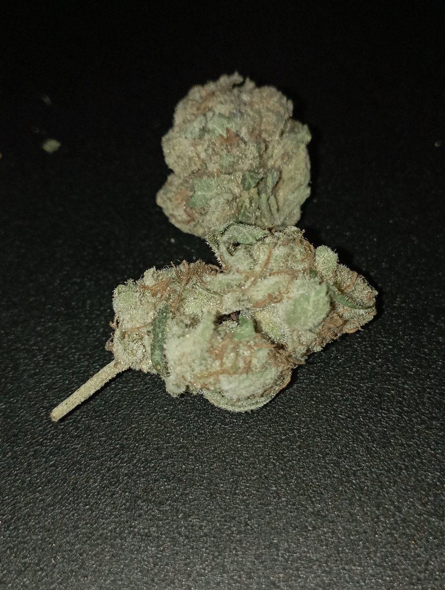 Frostymakantoosh
