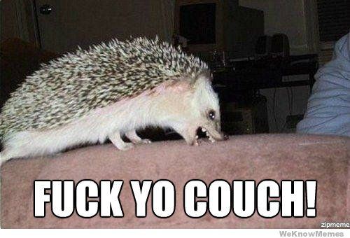 Fuck yo couch meme