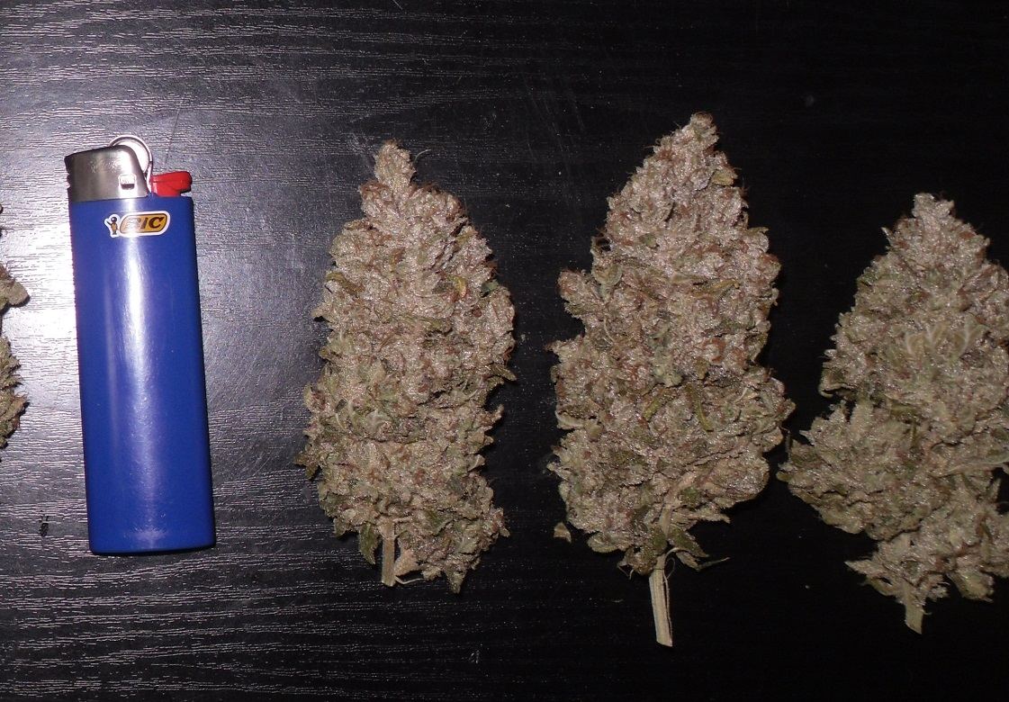 Fuelb