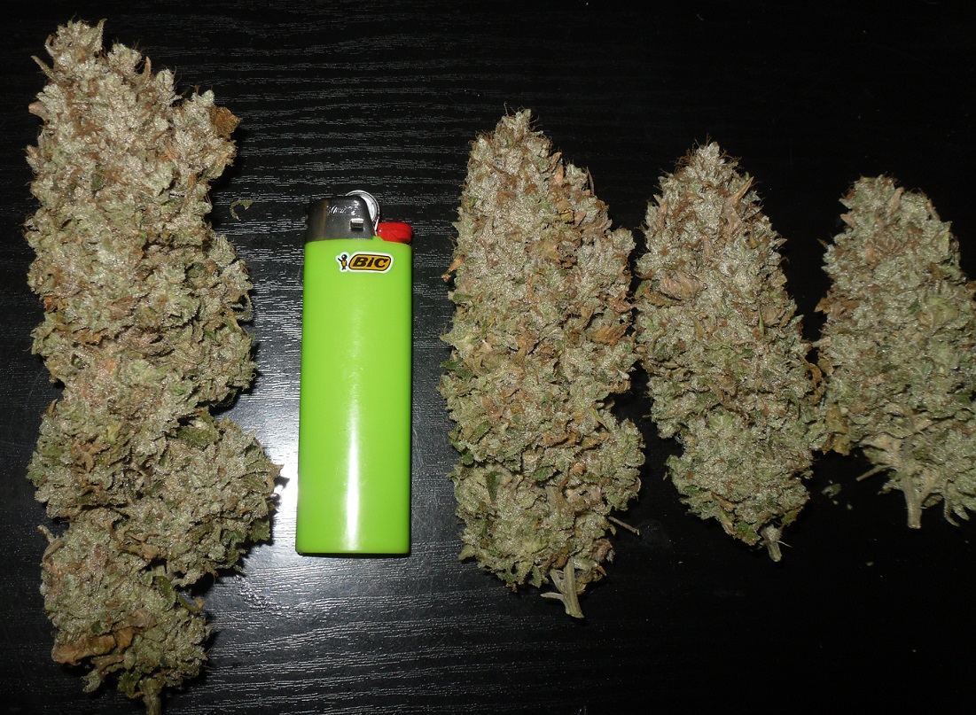 Fuelbnau
