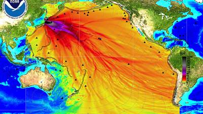 FUKUSHIMA FLUE2
