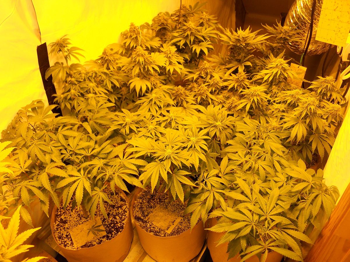 Full room 1 25