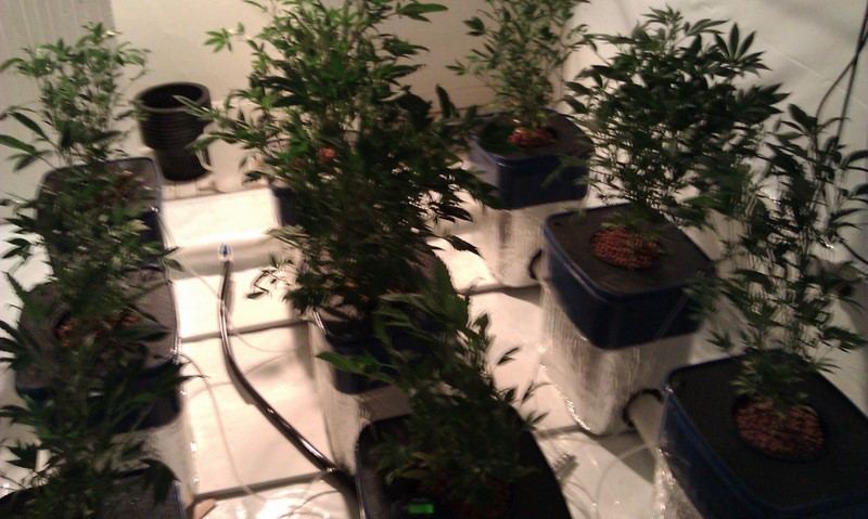 FullRoom