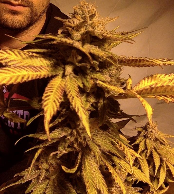 Fullsizeoutput 23