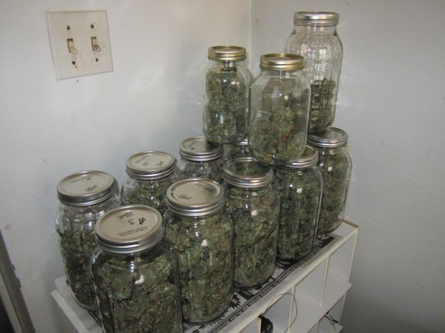 Funkberry 139
