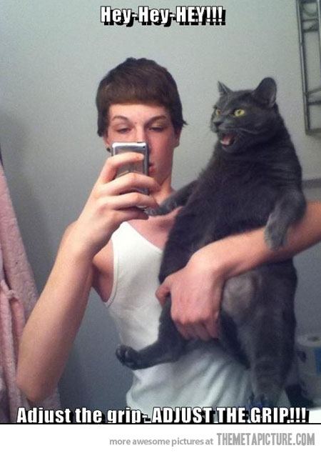 Funny black cat angry